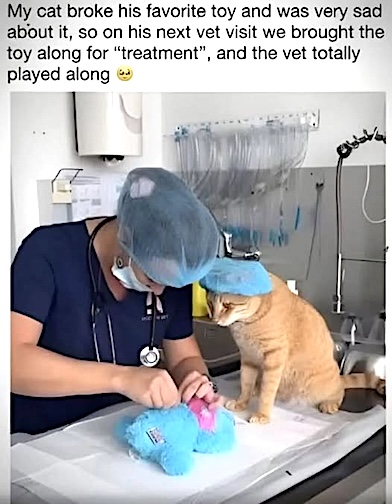 cat broke toy.jpg